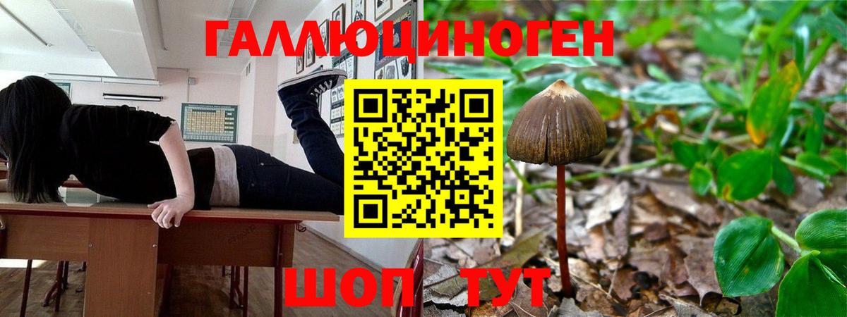 Чайковский  Галлюциногенные грибы Psilocybe  Галлюциногенные грибы мицелий  Вход с VPN 